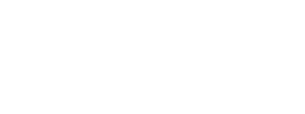 Interreg Danube Transnational Programme logo